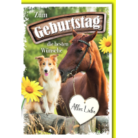 Geburtstag Glückwunschkarte mit Briefumschlag Pferd...