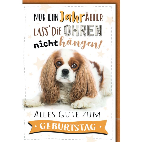 Geburtstag Glückwunschkarte mit Briefumschlag Cocker Spaniel