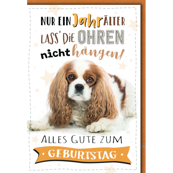 Geburtstag Glückwunschkarte mit Briefumschlag Cocker Spaniel