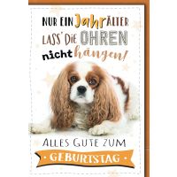 Geburtstag Glückwunschkarte mit Briefumschlag Cocker...
