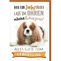 Geburtstag Glückwunschkarte mit Briefumschlag Cocker...