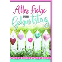 Geburtstag Glückwunschkarte mit Briefumschlag Zaun...