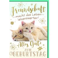 Geburtstag Glückwunschkarte mit Briefumschlag...