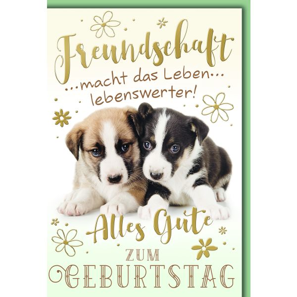 Geburtstag Glückwunschkarte mit Briefumschlag Hundefreundschaft