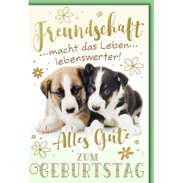 Geburtstag Glückwunschkarte mit Briefumschlag Hundefreundschaft