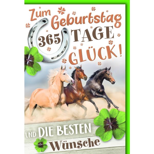 Geburtstag Glückwunschkarte mit Briefumschlag Pferde