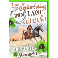 Geburtstag Glückwunschkarte mit Briefumschlag Pferde