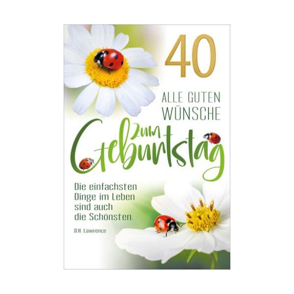 40. Geburtstag Glückwunschkarte mit Briefumschlag Marienkäfer und Margerite
