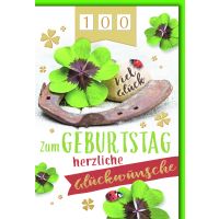 Zahlengeburtstag Drehzahl Zahlenstreifen...