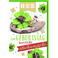 Zahlengeburtstag Drehzahl Zahlenstreifen...