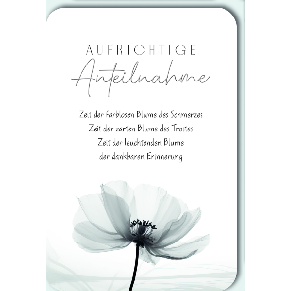 Trauer Beileid Kondolenzkarte mit Umschlag Aufrichtige Aneilnahme, Spruch mit Blüte