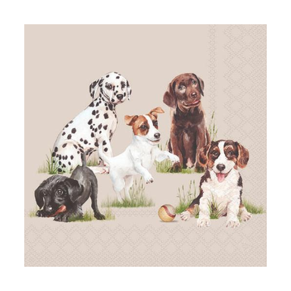 Servietten Cocktail 25x25cm 3-Lagig 20 Servietten Hunde Welpen Rassen Napkin 25 Playing puppies
