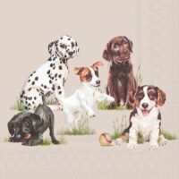 Servietten Cocktail 25x25cm 3-Lagig 20 Servietten Hunde...