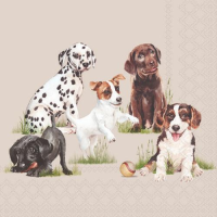 Servietten Cocktail 25x25cm 3-Lagig 20 Servietten Hunde...