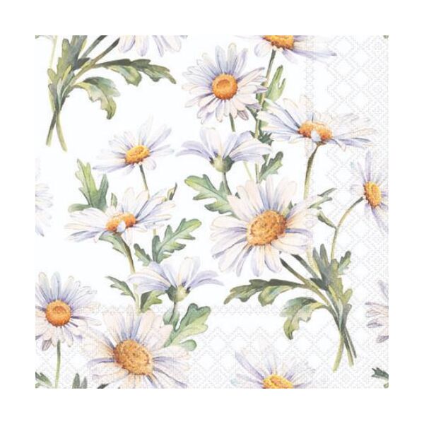 Servietten Cocktail 25x25cm 3-Lagig 20 Servietten Gänseblümchen weiß Napkin 25 Beautiful daisies white