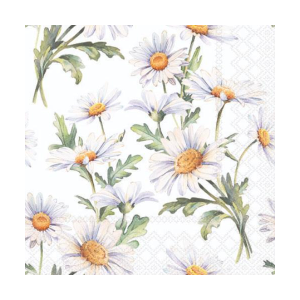 Servietten Cocktail 25x25cm 3-Lagig 20 Servietten Gänseblümchen weiß Napkin 25 Beautiful daisies white
