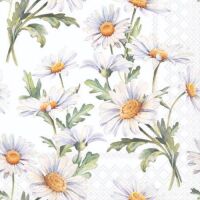 Servietten Cocktail 25x25cm 3-Lagig 20 Servietten...