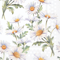 Servietten Cocktail 25x25cm 3-Lagig 20 Servietten...