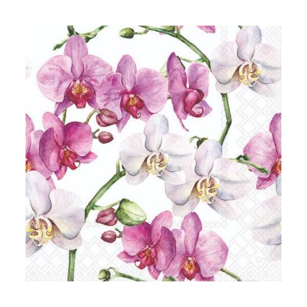 Servietten Cocktail 25x25cm 3-Lagig 20 Servietten Orchideen rosa-weiß Napkin 25 Elegant orchids white