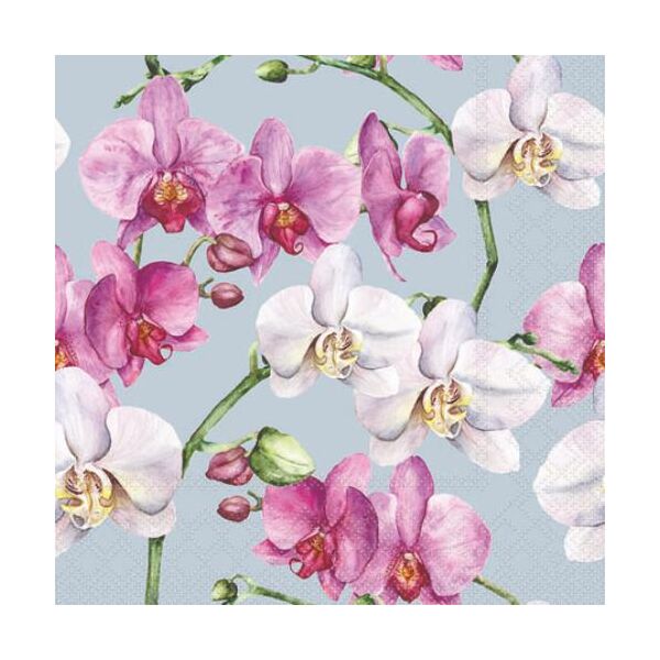 A Servietten Cocktail 25x25cm 3-Lagig 20 Servietten Orchideen blau Napkin 25 Elegant orchids blue