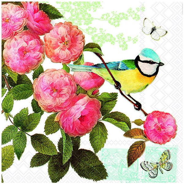 Servietten Lunch 33x33cm 3-Lagig 20 Servietten Vogel Rosenstrauch Napkin 33 Rose scent