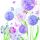 Servietten Lunch 33x33cm 3-Lagig 20 Servietten Pusteblumen Schmetterlinge Napkin 33 Flower beauty