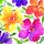 Servietten Lunch 33x33cm 3-Lagig 20 Servietten bunte Blumen Napkin 33 Happy bloomers