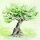 Servietten Lunch 33x33cm 3-Lagig 20 Servietten Olivenbaum Napkin 33 Olive tree