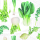 Servietten Lunch 33x33cm 3-Lagig 20 Servietten Gemüse weiß Napkin 33 Fresh veggies white