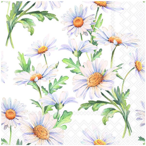 Servietten Lunch 33x33cm 3-Lagig 20 Servietten Gänseblümchen weiß Napkin 33 Beautiful daisies white