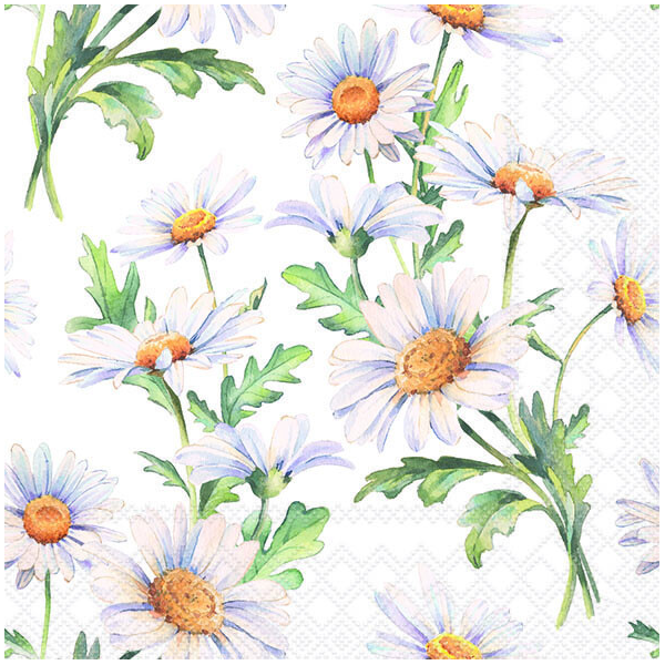 Servietten Lunch 33x33cm 3-Lagig 20 Servietten Gänseblümchen weiß Napkin 33 Beautiful daisies white