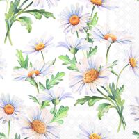 Servietten Lunch 33x33cm 3-Lagig 20 Servietten...