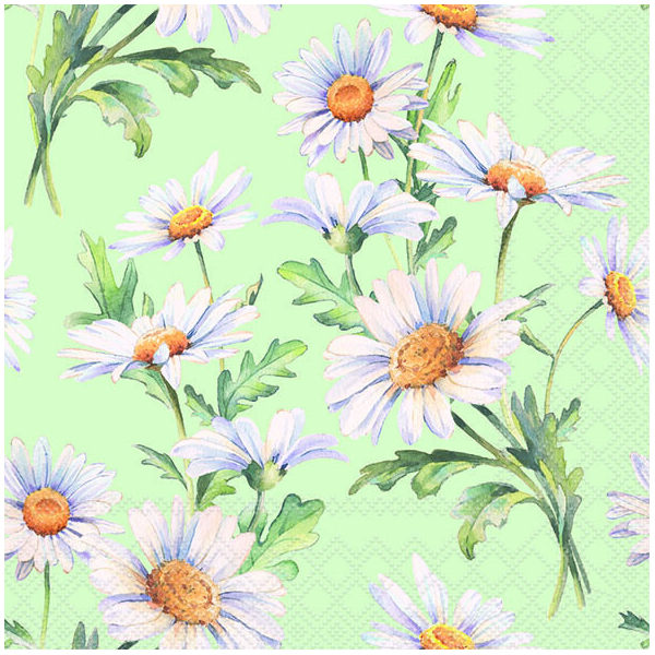Servietten Lunch 33x33cm 3-Lagig 20 Servietten Gänseblümchen grün Napkin 33 Beautiful daisies green