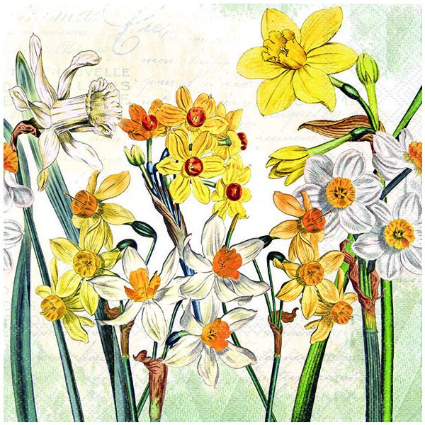 Servietten Lunch 33x33cm 3-Lagig 20 Servietten Narzissen Napkin 33 Narcissus