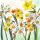 Servietten Lunch 33x33cm 3-Lagig 20 Servietten Narzissen Napkin 33 Narcissus