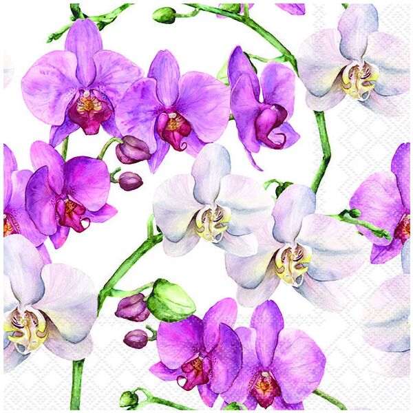 Servietten Lunch 33x33cm 3-Lagig 20 Servietten Orchideen rosa-weiß Napkin 33 Elegant orchids white