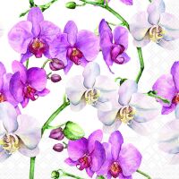 Servietten Lunch 33x33cm 3-Lagig 20 Servietten Orchideen...