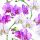 Servietten Lunch 33x33cm 3-Lagig 20 Servietten Orchideen rosa-weiß Napkin 33 Elegant orchids white