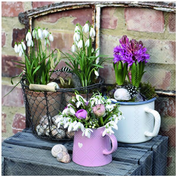 Servietten Lunch 33x33cm 3-Lagig 20 Servietten Winterblumen Napkin 33 Winter flowers