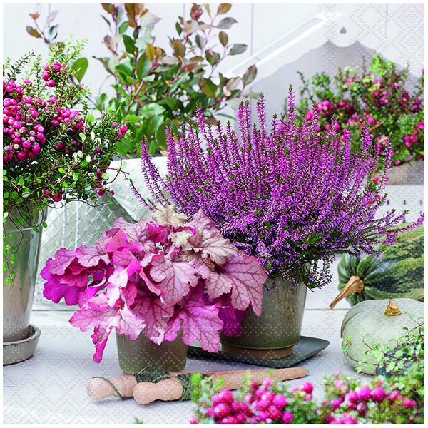 Servietten Lunch 33x33cm 3-Lagig 20 Servietten Heideterrasse Napkin 33 Heather terrace