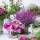 Servietten Lunch 33x33cm 3-Lagig 20 Servietten Heideterrasse Napkin 33 Heather terrace