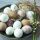 Servietten Lunch 33x33cm 3-Lagig 20 Servietten Ostern Eier in Schale Napkin 33 Eggs in bowl