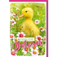Ostern Kücken in Wiese Glückwunschkarte mit...