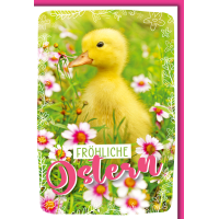 Ostern Kücken in Wiese Glückwunschkarte mit...