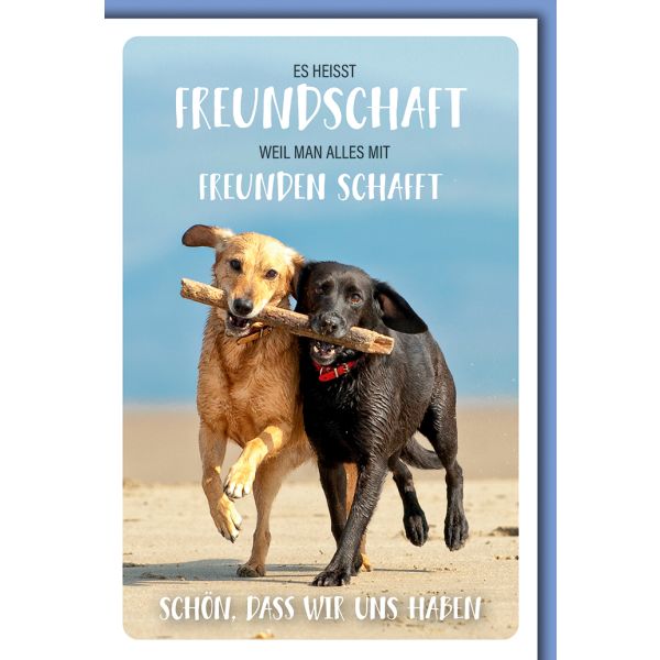 Liebe Zwei Hunde am Strand Glückwunschkarte mit Umschlag