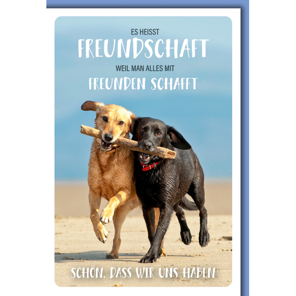 Liebe Zwei Hunde am Strand Glückwunschkarte mit Umschlag