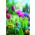 Ostern Grußkarte Doppelkarte mit Briefumschlag Blumen