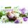 Ostern Grußkarte Doppelkarte mit Briefumschlag Eier im Körbchen, Blumen