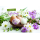 Ostern Grußkarte Doppelkarte mit Briefumschlag Eier im Körbchen, Blumen