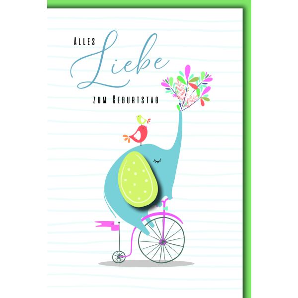 Geburtstag Elefant auf Fahrrad mit Blumen alles Liebe Glückwunschkarte mit Umschlag